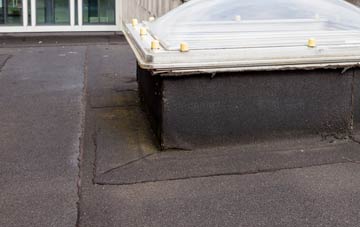 disadvantages of Spexhall flat roofs