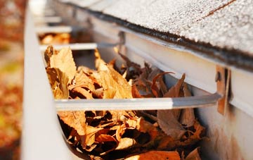 Spexhall gutter cleaning companies