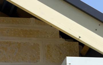 soffit repair Spexhall