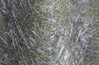 Spexhall fibreglass roof work