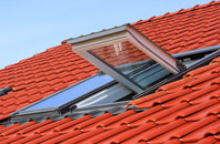 Spexhall roof window